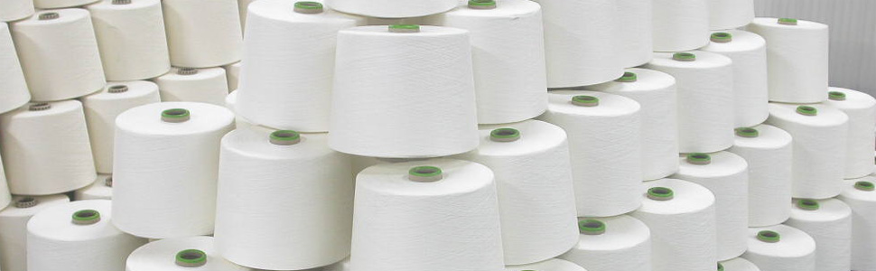 B S Overseas Ltd.